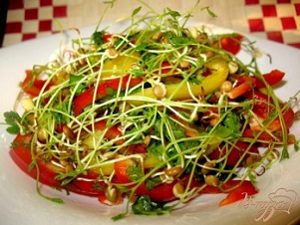 Sprouts are a perfect form of healthy diet: