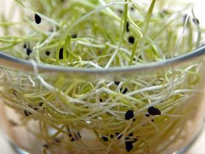 Sprouted seeds made at home are better than purchased in the store